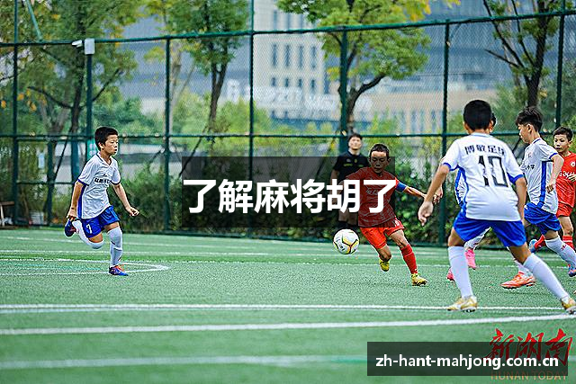 了解麻将胡了